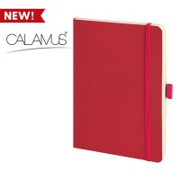 NOTES THERMO - 200 PAGINE A RIGHE PB581