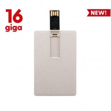 USB 16GB - MEMORY PF107-16