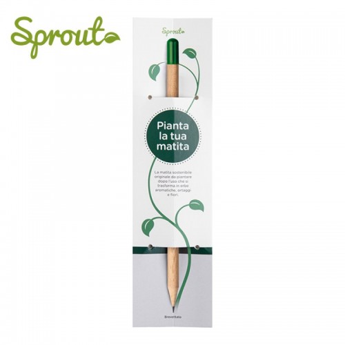 ASTUCCIO SPROUT ZD050