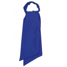 FOULARD ASCOT - ISACCO 115306