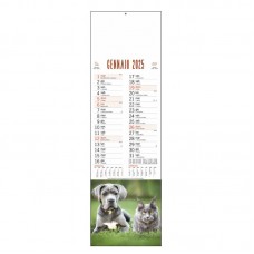 B/71 - CALENDARIO  CANI E GATTI
