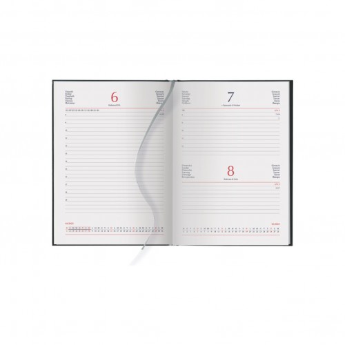 GE15 INTERNO GIORNALIERO CM 15 X21