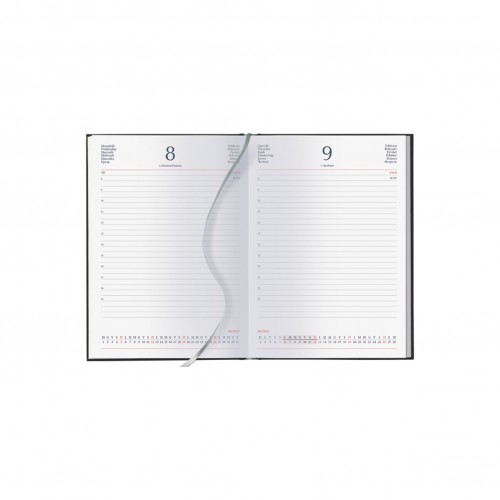 GL15 INTERNO GIORNALIERO CM 15 X21